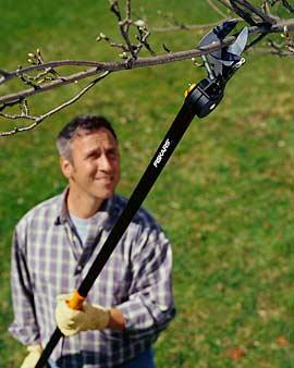 Pruning Stik Tree Pruner