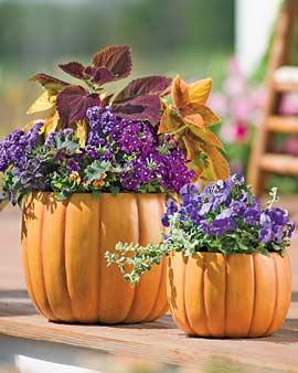 Pumpkin Planter, Large