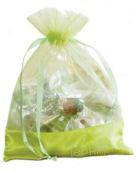 Quartet Of Tea Refill Pack