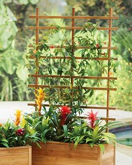 Reforest Teak Trellis