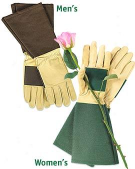 Rose Gloves, Men's
