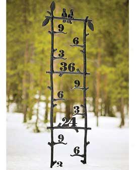 Rustic Snow Gauge