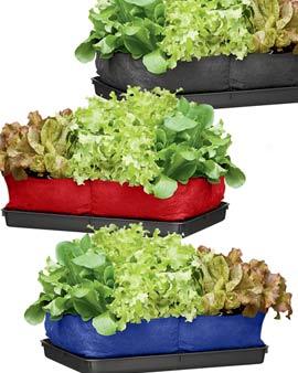 Salad Grow Bag