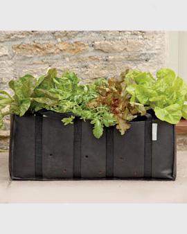 Salad Planting Sack