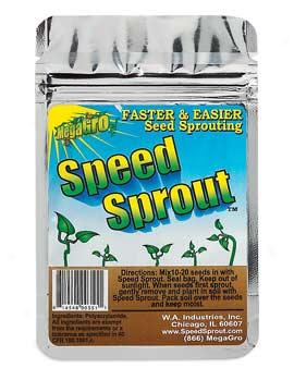 Seed Sprout, Set Of 6