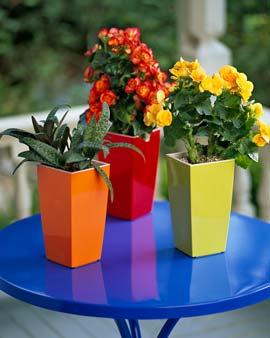 Self-watering Cubi Planter