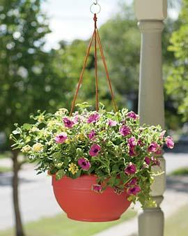 Self-watering Hanging Basket