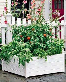 Self-watering Raised Bed, Green