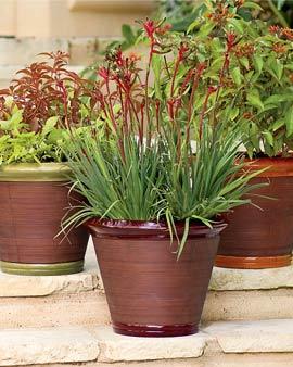 Self-watering Rattan Planter, Amber