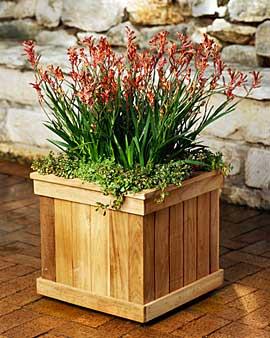 Self-watering Teak Planter