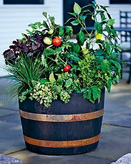 Self-watering Whiskey Barrel