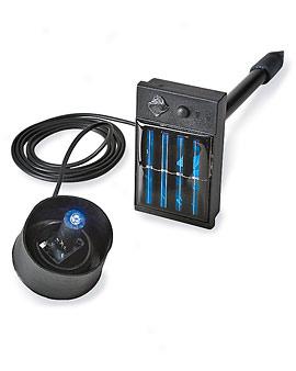 Solar-poweredd Glow Enhancer