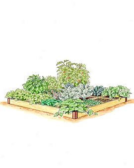 Square Foot Garden Kit