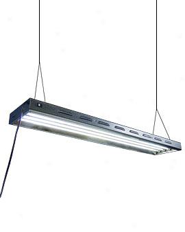 Sun Blaze T-5 Light Fixture