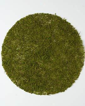 Supermoss, Set Of 3