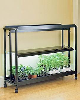 T-5 Floor Model Sunlite® Garden