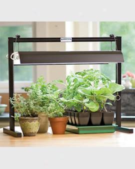 Tabletop Grow Light