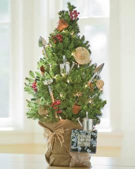 Tabletop Spruce Tree Through  Garden Tools