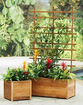 Teak Self-watering Square Planter