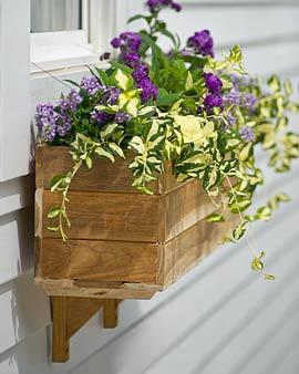 Teak Windowbox, 12