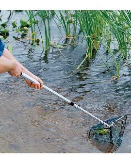 Telescoping Pond Net