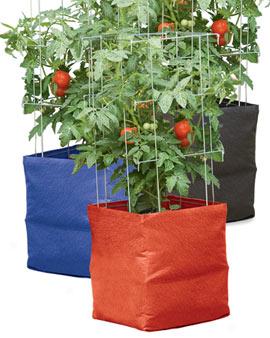 Tomato Grow Sack