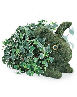 Topiary Bunny