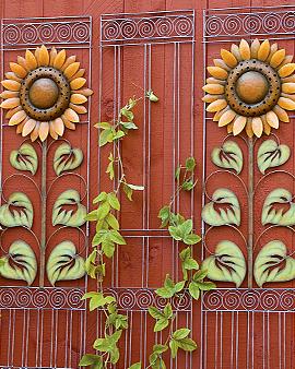 Trellis For Sunflower Panel