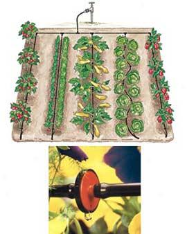 Vegetable Garden Drip Kit