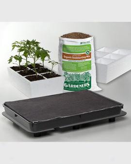 Vegetable Starter Success Kit