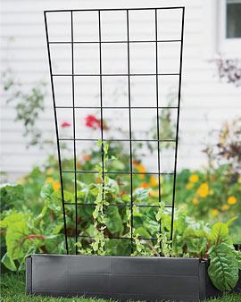 Vegetable Trellis, 62