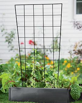 Vegetable Trellis, 72