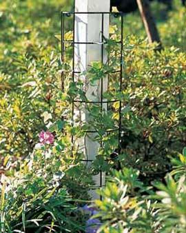 Versatile Half-round Trellis, Set Of 2