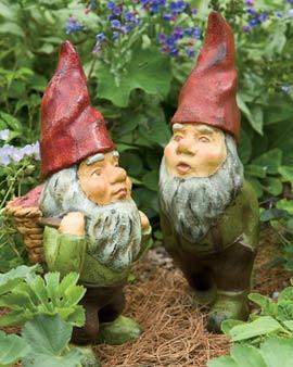 Whistling Gnome