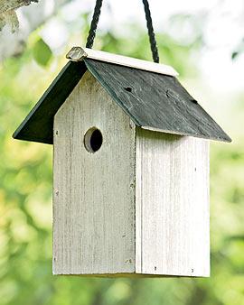 Whitewash Birdhouse