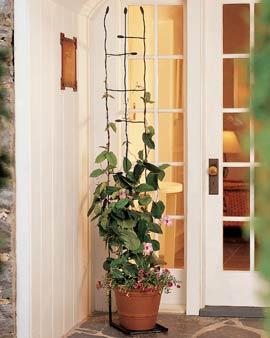 Wildwood Pot Trellis