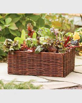 Willow Planter Enclosure