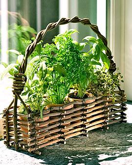 Window Herb Pots