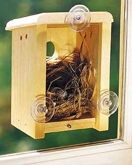 Window Nest Box