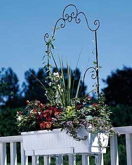 Windowbox Trellis