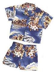 Blue Hawaii Boy's Cabana Set 6m-4t