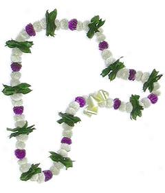 Bozu And Mock Orange Lei