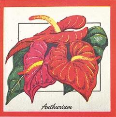 Cocktail Napkins - Anthurium