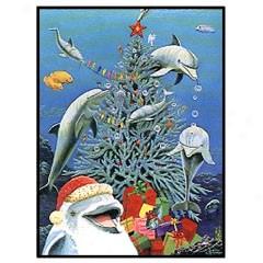 Dolphin Chriqtmas Value Pack Gift Cards