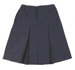 Girl's Skirt (plus Waist)