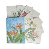 Hawaiian Botanical Floral Note Cards