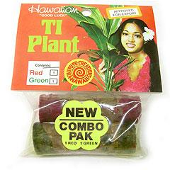 Hawaiian Good Luck Ti Plant Combo Pack