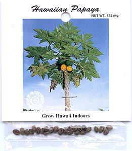 Hawaiian Papaya Seeds