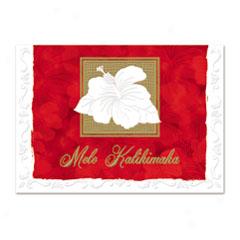 Hibiscus Holidays Supreme Boxed Christmas Cards