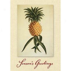 Ho'okipa Greeting Cards